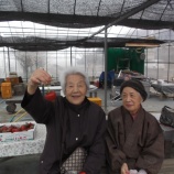 『🍓いちご狩り🍓』の画像