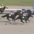 【競馬】コントレイル種牡馬大成功か