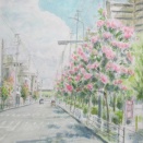 百日紅の咲くころ