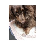 زľ񡡷ϹäƤޤ٤β