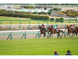 【エリザベス女王杯】本予想　[◎3着確保で複勝のみも🎯]