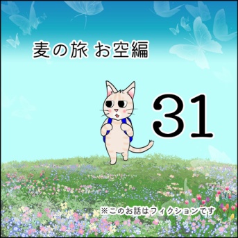 麦の旅お空編31