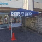 店長の犬猫な日々　山形ペットショップ　店長　ブログ