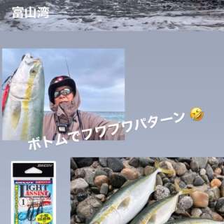 フラッター日誌