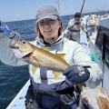 イワシの泳がせ　マハタ