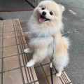 ミルクちゃん♪