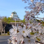 昼喰らいまぁ〜♪