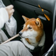 夕日と北アルプス