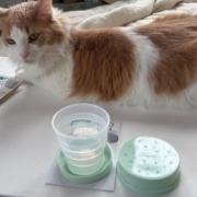 セリアの折りたたみコップと昭和の「水を飲むな」という話