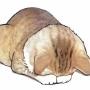 12月13日（土曜日）臨時休業のお知らせ。