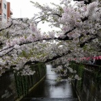 東京おとなガレージ
