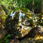 丹波・丹後の妖怪あつめ