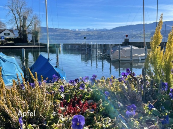 春が待ち遠しい！