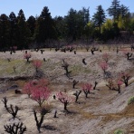ちゃっぷの温泉・ハイキングブログ