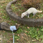 もにっき（旧うにっき）