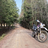 『和知・綾部林道ツーリング』の画像