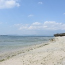 痛みよりも撮影を（黒島㉒）