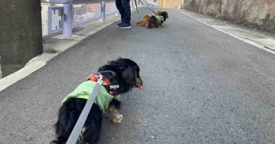 寒い。病院Dayです。