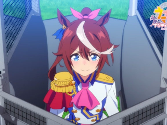 【ウマ娘】トウカイテイオーのガチファン、グッズの量がヤバいwwwwwwwwwwww