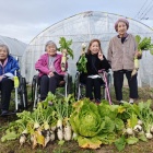 『豊作』の画像