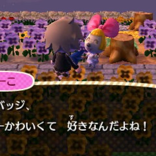 とび森で村長生活（仮）