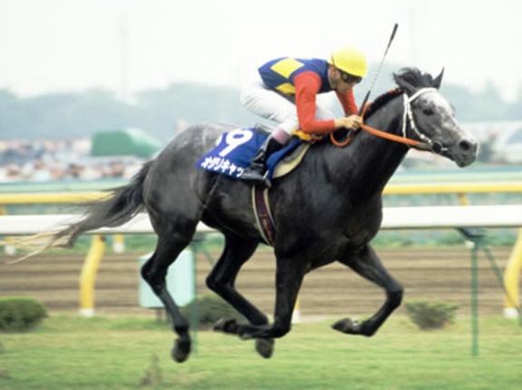 オグリキャップが今の競馬界にいたらさ