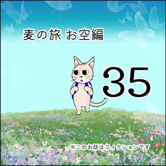 麦の旅お空編35