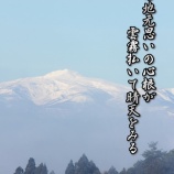 『3代目の後継者』の画像