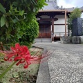 ２０２６/９/２１元気の出る写経会