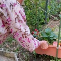 【よもぎ菜園】