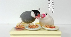 シロ子ちゃんのためにピザを頼んだ
