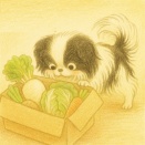 見るだけのお野菜