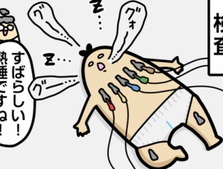 ワッパ、心房中隔欠損が完治