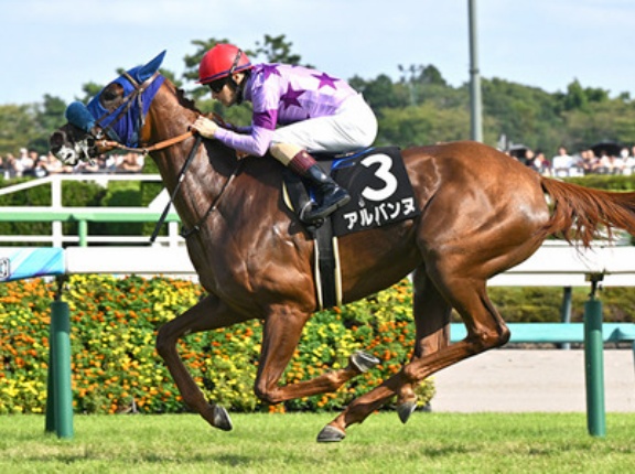 【競馬予想】[1]第77回阪神ジュベナイルフィリーズ(GⅠ) /2025