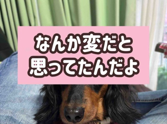 万事了解。ママに任せなさい。