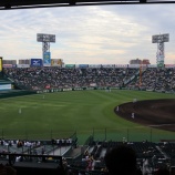 『なぜ「虎」が焼け太ったのか？』の画像