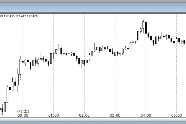 モリーさんちの調査室 Mt4