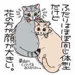 やっぱり兄弟