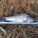 �¤ˤϤޤ��ȥ�ܤ���������Ǥ�(^_^) �������ʬ�����ä���äƤ��Ĥ�����¤ϼ����������������������롼(^_^)