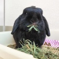 どうぞ ごゆっくり ♪