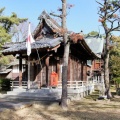 松井神社と臥龍梅