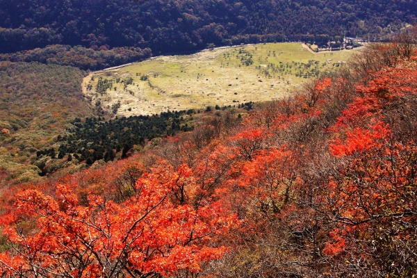 やまやま再発見 由布岳