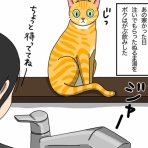 猫はじめました