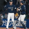 増井浩俊 防御率1.88 28回2/3 32奪三振16S(リーグトップ) 	
