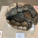 産出状況