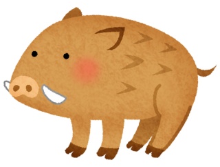 【動画】神奈川県警察10人vsイノシシ、ガチで戦った結果ｗｗｗｗｗｗｗｗｗｗｗｗｗｗｗｗｗｗｗｗｗｗｗｗｗｗ