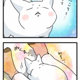 うちの猫、気難しさが強すぎる