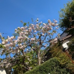 草月流上村春洸ぎゃらりー