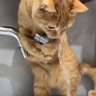 らばQ
