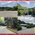 京都観光~伏見はんなりぶらり旅写真集(7)/花前カレン